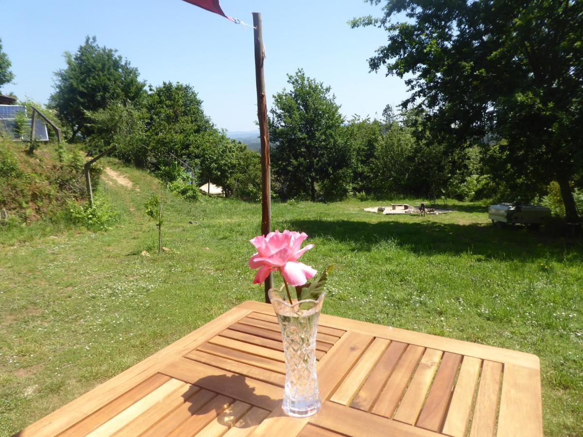 Rosa The Cosy Cabin - Gypsy Wagon - Shepherds Hut, River Views Off-Grid Eco Living 페드로강 그란지 외부 사진