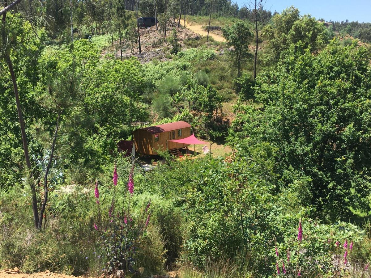Rosa The Cosy Cabin - Gypsy Wagon - Shepherds Hut, River Views Off-Grid Eco Living 페드로강 그란지 외부 사진
