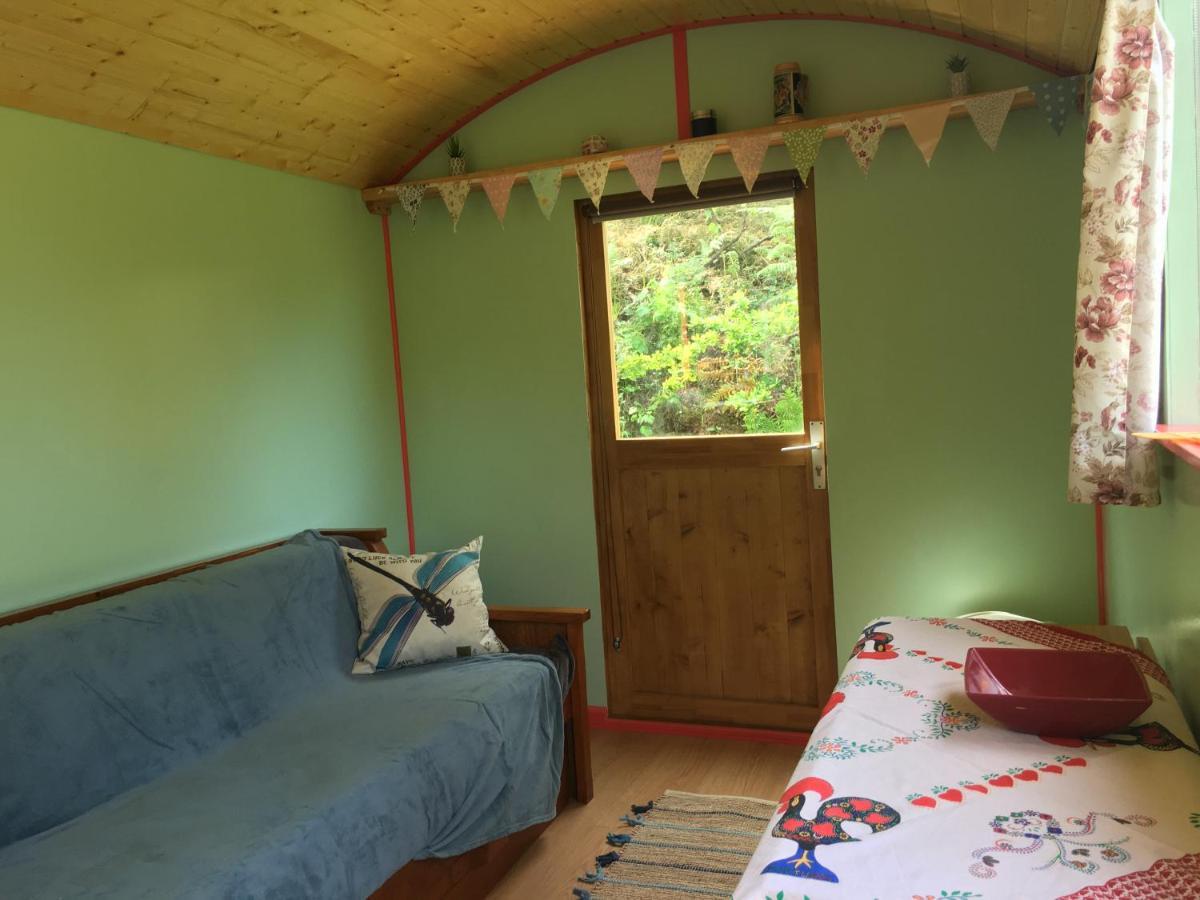 Rosa The Cosy Cabin - Gypsy Wagon - Shepherds Hut, River Views Off-Grid Eco Living 페드로강 그란지 외부 사진