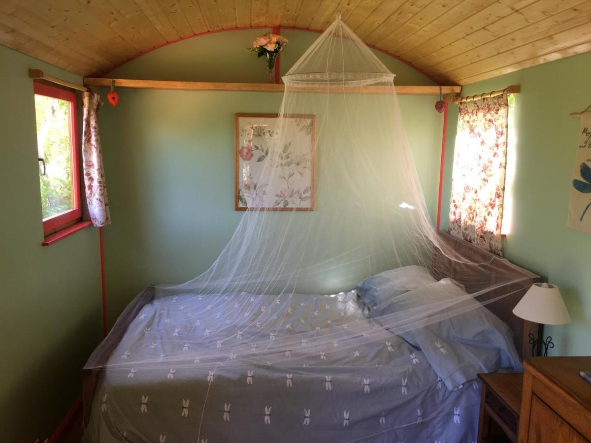 Rosa The Cosy Cabin - Gypsy Wagon - Shepherds Hut, River Views Off-Grid Eco Living 페드로강 그란지 외부 사진