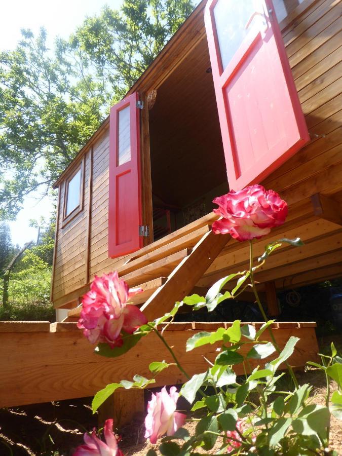 Rosa The Cosy Cabin - Gypsy Wagon - Shepherds Hut, River Views Off-Grid Eco Living 페드로강 그란지 외부 사진
