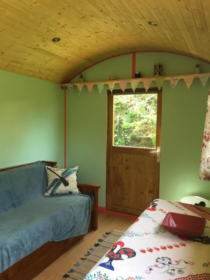 Rosa The Cosy Cabin - Gypsy Wagon - Shepherds Hut, River Views Off-Grid Eco Living 페드로강 그란지 외부 사진