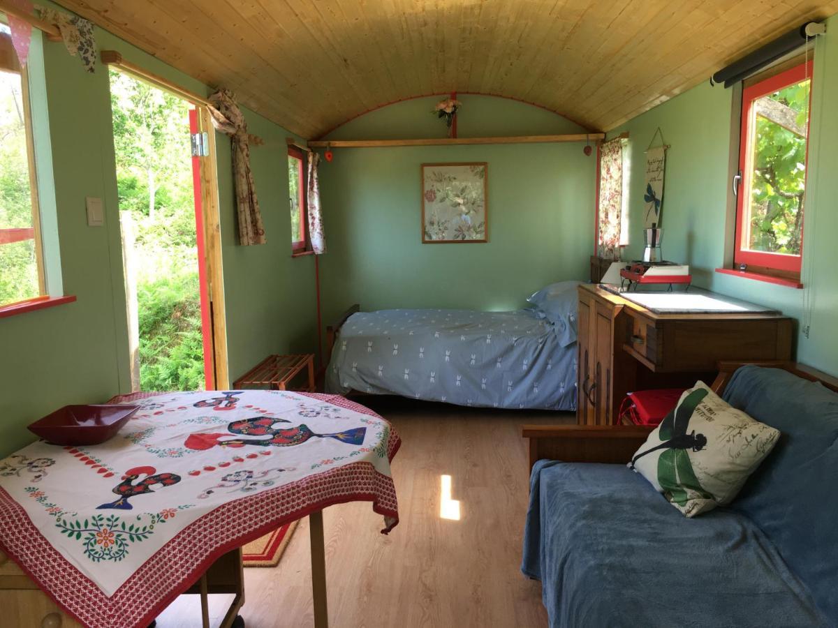 Rosa The Cosy Cabin - Gypsy Wagon - Shepherds Hut, River Views Off-Grid Eco Living 페드로강 그란지 외부 사진